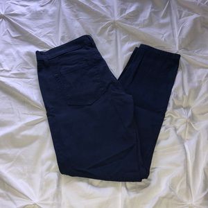 Royal Blue Loft Skinny Chinos